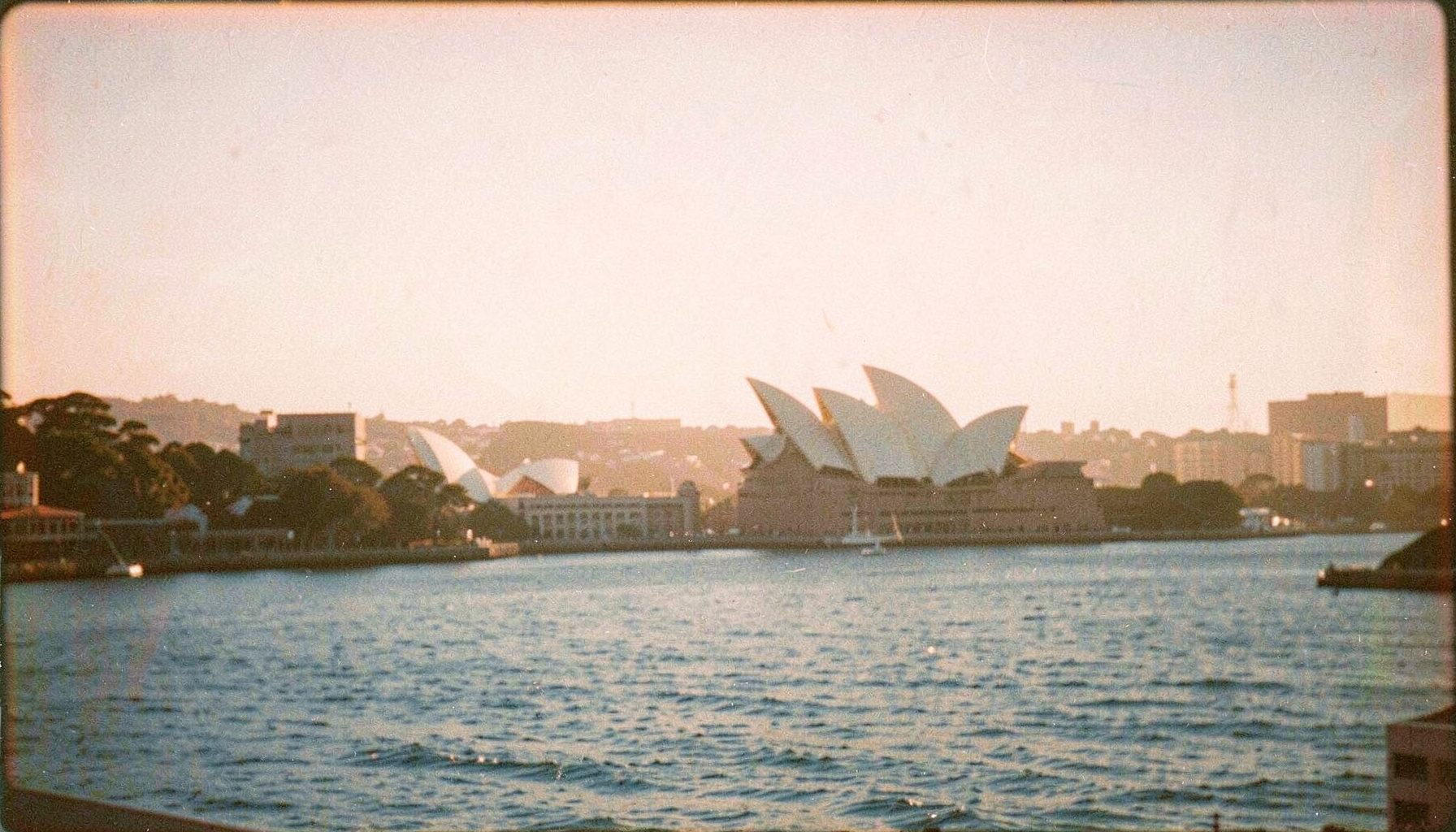 A warm, sunlit view across Sydney Harbour with the Opera House silhouettes and calm blue water under a soft hazy sky, analog film grain